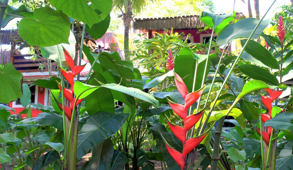 Pousada Calypso Trancoso Exterior foto